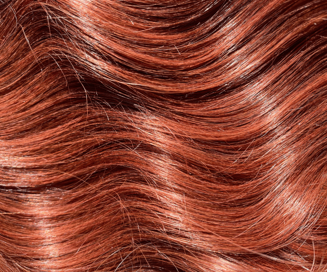 Auburn Red